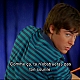 capture138.jpg