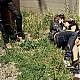 073120081201057447.jpg
