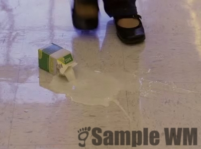 Cliquez pour voir l'image en taille réelle