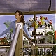 bscap0845.jpg