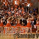 bscap1193.jpg